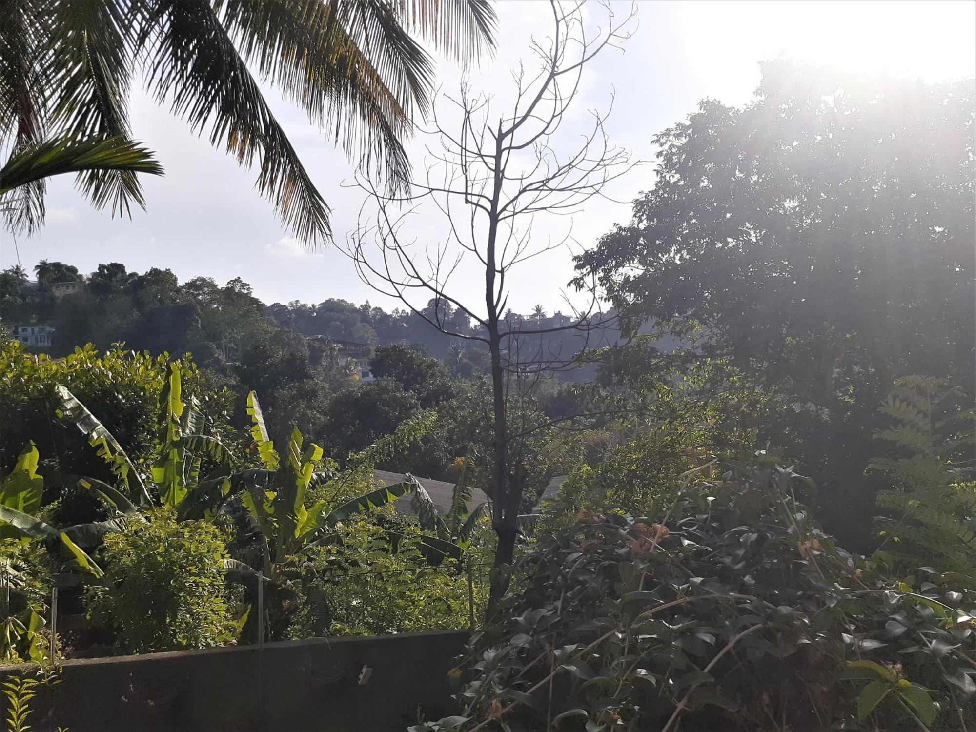 Kandy Mountain Cottage Экстерьер фото
