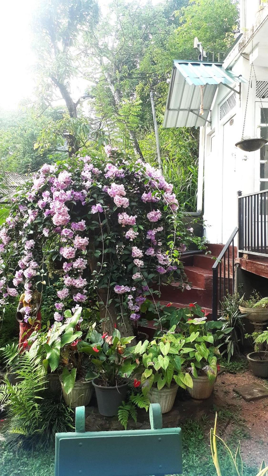 Kandy Mountain Cottage Экстерьер фото