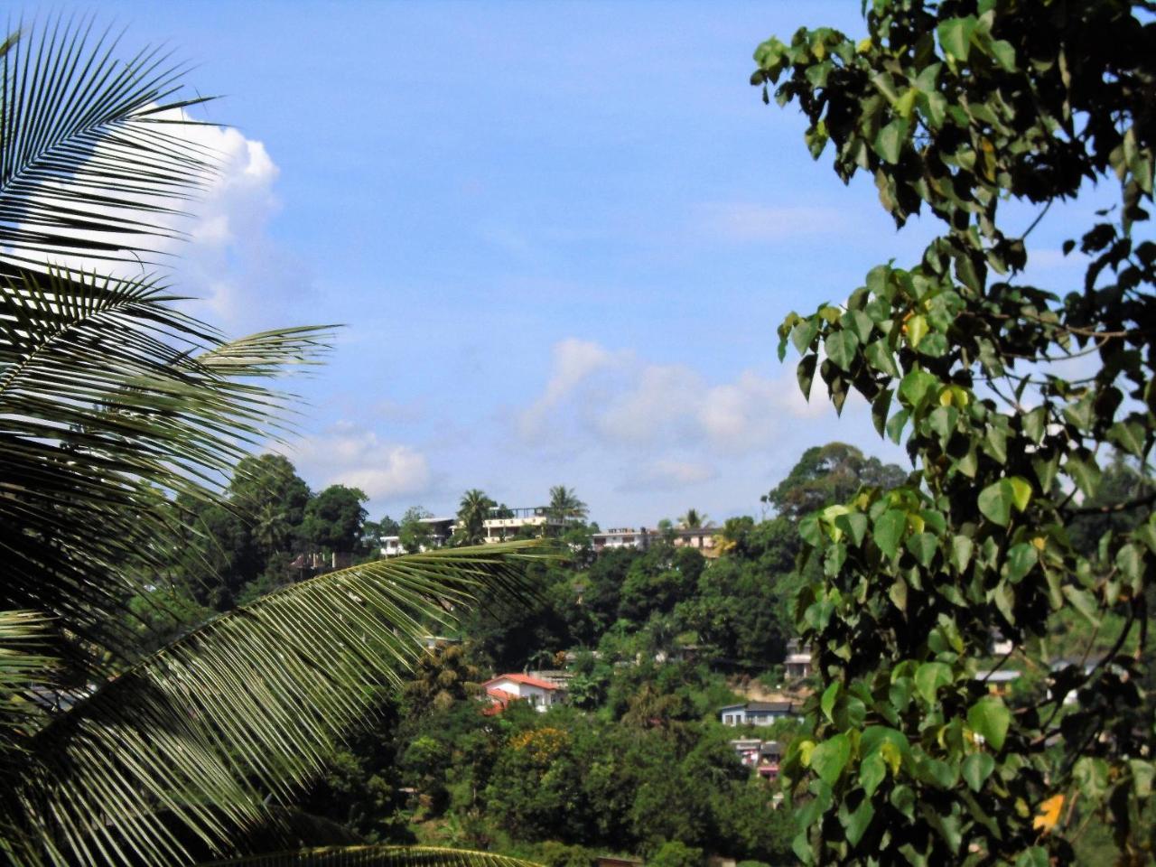 Kandy Mountain Cottage Экстерьер фото