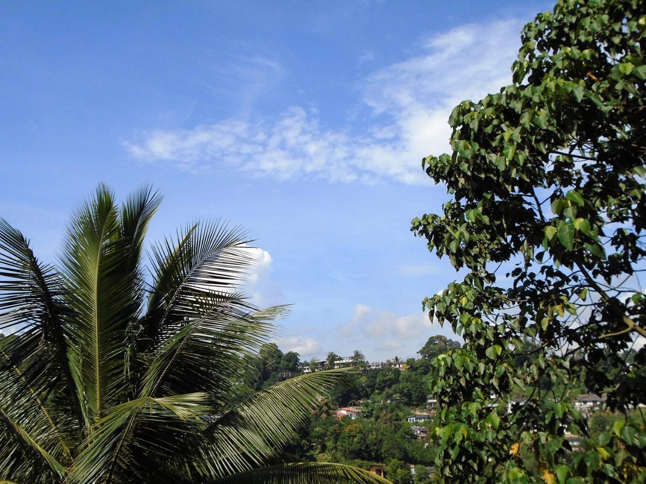 Kandy Mountain Cottage Экстерьер фото